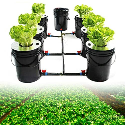 KenSyuInt Hydroponic DWC Grow System Kit complet Système de culture sans sol Serre Jardinière Intérieur Hydroponique Jardinière pour plantes utilitaires Légumes Herbes Salades Plantes ornementales