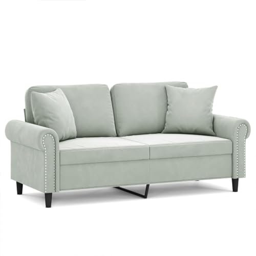 Willood 2-Sitzer-Sofa mit Zierkissen Liegesofa für Wohnzimmer, Polstersofa Sessel Relaxsofa Loungesofa Relaxcouch Hellgrau 140 cm Samt