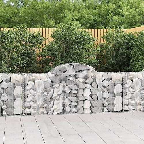 FUDUGEHMIOFWFJJ pflanzkübel groß außen,pflanzkübel,blumenkübel Outdoor,Gabionen mit Hochbogen 13 STK. 200x30x80/100cm Verzinktes EisenGeeignet für Garten, Terrasse, Schlafzimmer, Wohnzimmer