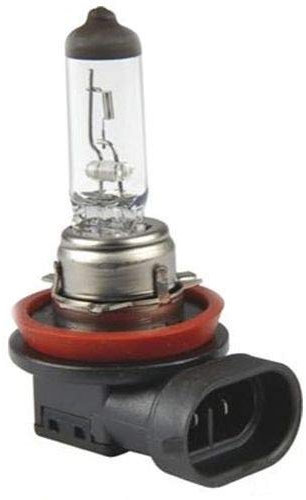 Bosch H11 1987302806 Leuchtmittel, 2 Stücke