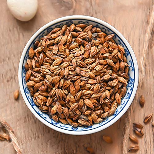 Chinesischer Kräutertee Gerösteter Gerstentee Erfrischender Gerstentee aus gerösteter Gerste Neuer Dufttee Grüner Tee Gesundheitspflege Blumentee Hochwertiges, gesundes, grünes Essen (100g)