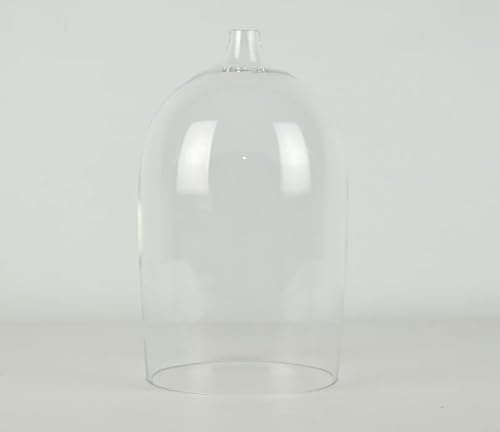 EMH Glass Dome Display Cloche Terrarium 24x13.3 cm with Hole