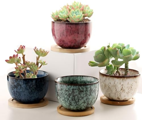 Ceramic Succulent Plant Pot Set Of 4 Small Indoor Plant Pots With Tray
