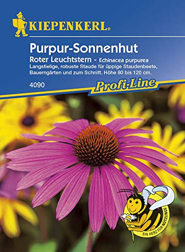 Kiepenkerl 4090 Purpur-Sonnenhut Roter Leuchtstern (Purpur-Sonnenhutsamen)