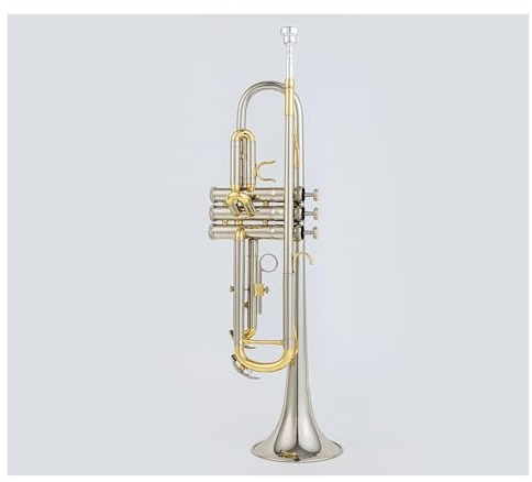 B-Tonart Messing versilbert professionelles B-Trompeten-Lehrinstrument mit Box
