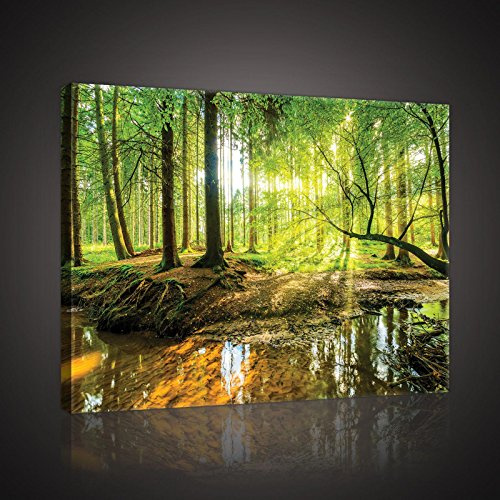 Forwall Leinwand Bilder - Wald Natur Landschaft Sonne - 60x40 cm | Leinwandbilder, Bild auf leinwand, Wandbild XXL groß Wandbilder für Wohnzimmer Schlafzimmer Wohnzimmerbilder