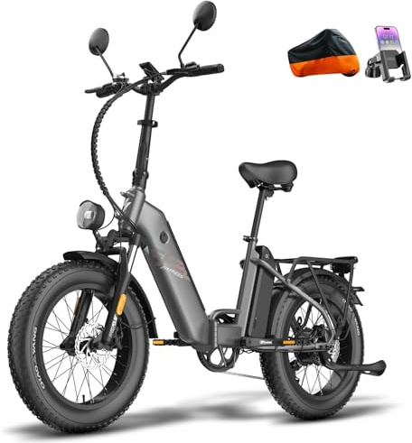Fafrees FF20 Polar E-Bike Klapprad Elektrofahrrad 20 * 4.0 Zoll, 250W 25km/h Fatbike Doppelbatterie 24Ah/26.8Ah, E Bike Herren Reichweite bis 110-170km, Mountain E-Fahrrad Damen (26.8Ah Akku, Schwarz)