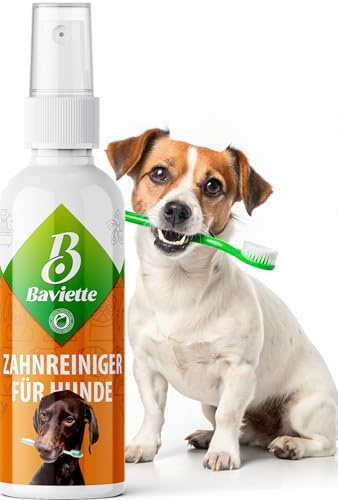 Baviette Hundepflege: 100 ml Sanfter, bürstenfreier Zahnreiniger mit Mikroorganismen – Geruchs- & geschmacksneutral, alkoholfrei & ohne Duftstoffe, EU-Qualität