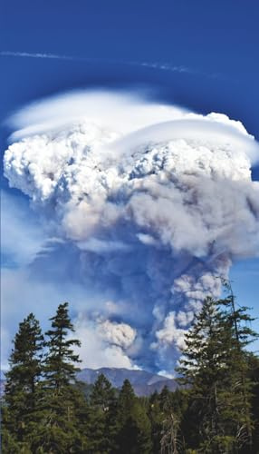 Wildfire Smoke Column Planner: Fireline Series – 24-Month Pocket Calendar 2026–2028 (4×7)