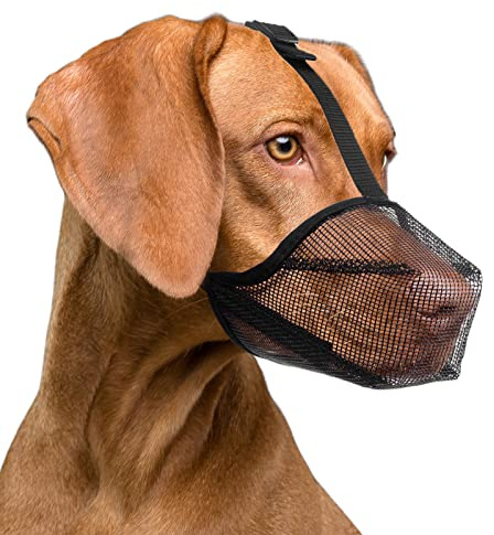 Museruola per Cani con Maglia Arrotondata, Museruola Traspirante per Cani Piccoli Medi Grandi, Impedisce di Masticare, Rosicchiare e Mordere(L, Nero)