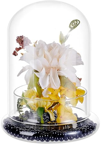PH PandaHall Cubierta de cúpula de vidrio de 11,7 x 16,2 cm, tarro de campana de campana de terrario transparente con base, maceta de terrario, tarro de exhibición para cactus, suculentas, decoración
