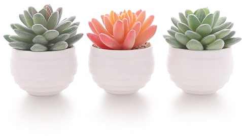 Tiita Mini Artificial Succulents in Pots, 3 Pack for Desk and Shelf Decor