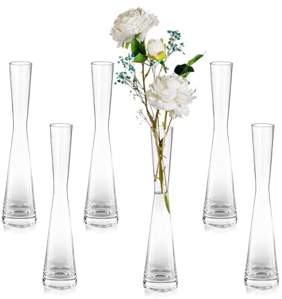Glasseam Vaso di Vetro Alto E Sottile: Fatto A Mano 6pcs 24.5cm Moderno Singolo Stelo Stretto Chiaro Vasi Soggiorno Tavolo Centrotavola Sottile Cilindro Casa Decorazione per Matrimonio Ornamenti Erba