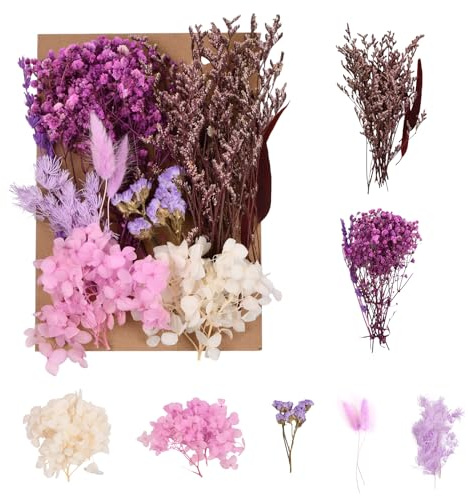 Volumoon Fiori Secchi Naturali, Veri Bouquet Misti per Resina, Candele, Scrapbooking e Decorazione (Viola)