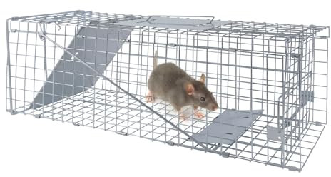VickyHome 24 Zoll Easy Set Up Live Animals Humane Rattenfalle, Folding Nagetier Käfig Falle Mäuse Ratte Killer Catcher, Wiederverwendbare Catch and Release Kaninchenfalle mit Sicheren Tragegriff & 1