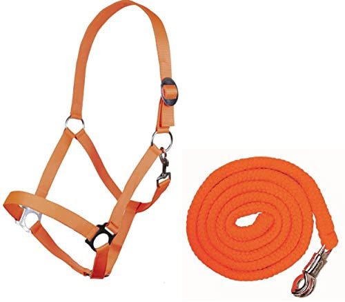 Generisch HKM Halfter-Set StarterHalfter + Führstrick mit Panikhaken verstellbar | versch. Farben (Pony, Neon Orange)