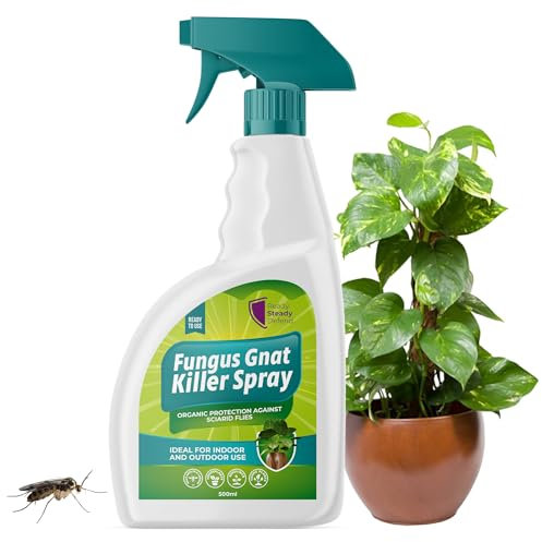 Fungus Gnat Killer Spray 500ml | Organic Protection Against Sciarid Flies | Effective for Houseplants, Seedlings | Safe for Indoor & Outdoor Use | Targets Adults & Larvae | Eco-Friendly Formula