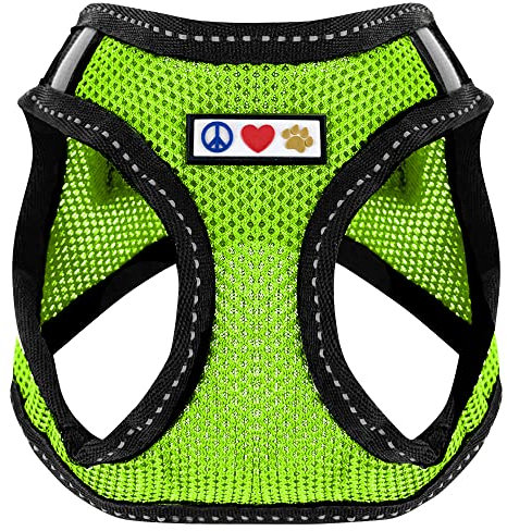 Pawtitas Pet Reflektierendes Hundegeschirr Geschirr zum Hineintreten oder Umlegen, Komfortsteuerung, Trainieren Sie den Spaziergang Ihres Welpen/Hundes - Extra Extra Klein Hundegeschirr Grün