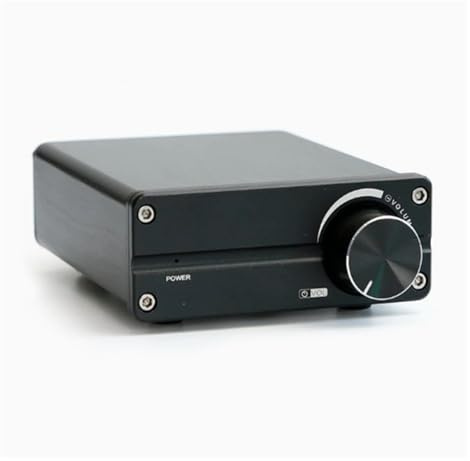 Amplificatore digitale PRO HiFi a 2.0 canali Mini Class Amplificatore stereo 100 W * 2 for altoparlante(With Power Supply)