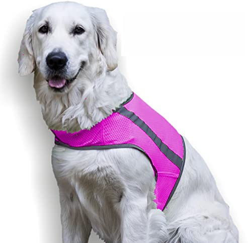 FinNero ATTE Warnweste für Hunde – Reflektierende Sicherheitsweste mit Klettverschluss – Leicht, Atmungsaktiv & Verstellbar – S, Pink
