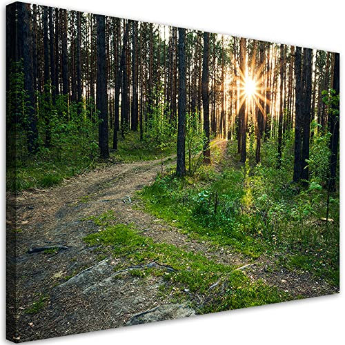 Feeby Vlies Leinwandbild Wald Natur Pfad Farne 30x20 cm Wand Bild Kunstdruck Deko Wohnzimmer Wohnungs Deko Bäume Pflanzen Blätter Sonnenuntergang Grün