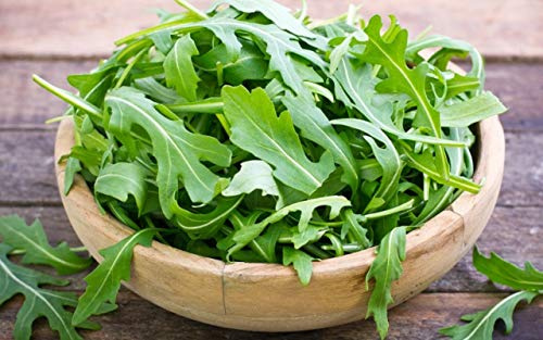 Seeds4planting - Seeds Arugula Garden Rocket Salad Herb Non GMO Heirloom for Planting