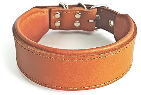 Bestia™ Classic Echtleder Hundehalsband. 100% Leder. Weich gepolstert.