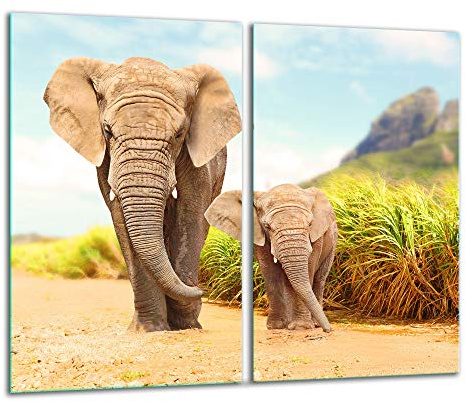 TMK ArtDeko – Herdabdeckung - Spritzschutz Glasplatte 2 Teilig 30x52 cm – Herdschutz aus Sicherheitsglas – Robust, Hygienisch & Rutschfest– Schutz für Induktion, Ceran, Gas & Elektro