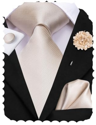Hi-Tie Herren-Krawatten-Set Seiden-Paisley-Streifen-Einheitskrawatte mit Blumen-Lapelpin-Set