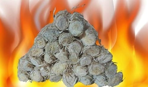 Holzwolle Anzünder Öko Grill+Kamin Feueranzünder Bio-Anzünder, 2,5Kg