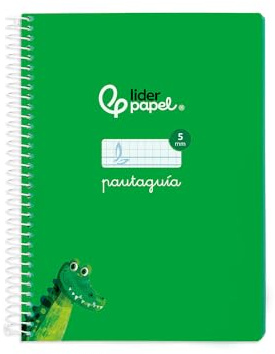 Liderpapel Spiralheft, DIN A5, weißer Einband, 40 H, 75 g, kariert, 5 mm, Grün