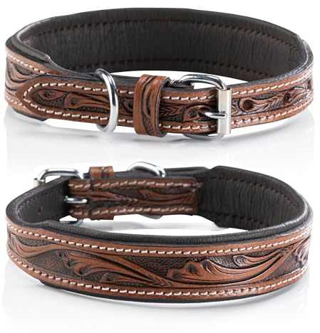Jack & Russell Leder Hundehalsband, Hand-gefertigt & gepolstert – Halsband mittelgroße Hunde aus Büffelleder, Lederhalsband dunkel-braun Talia (L (40,0-49,5cm)