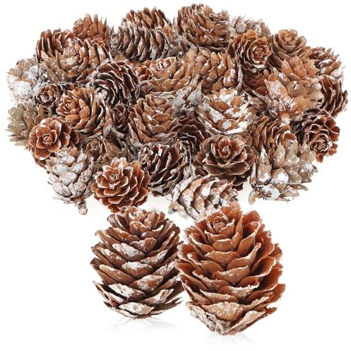 com-four® 50x decorative larch cones - scattered decorations for autumn and winter - cone decorations - small larch cones - pine cones (50x larch cones white)