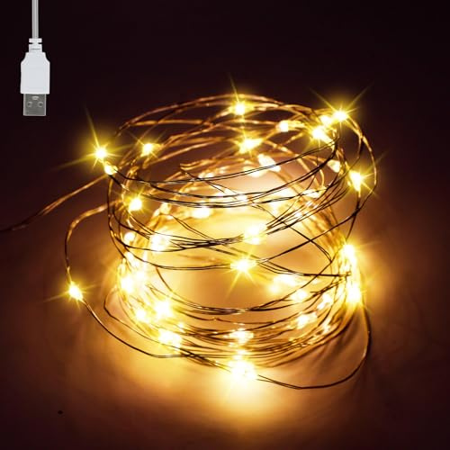 Aihoom USB Fairy Lights, 5M/16Ft 50 LED String Lights, Copper Wire Twinkle Lights for Jars, Christmas Tree Garden Party Wedding Decoration, Indoor Outdoor Lighting, Warm White