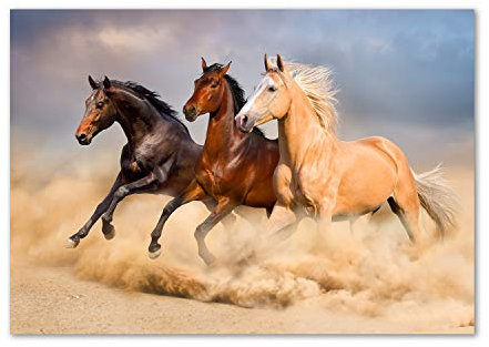 Tulup Leinwandbild - Wandkunst - Drucke auf Leinwand - Leinwanddruck -100x70 cm - Tiere - Beige - Pferde im Galopp