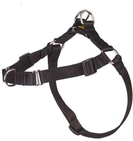 Dingo Hundegeschirr Große 60 (48-64 cm) Breite 1,6 cm Schwarz kein Ziehen Geschirr aus Polypropylenband Anti Zug Geschirr No Pull für Ihren Hund Brustgeschirre