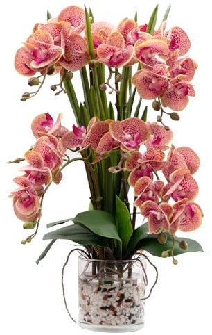 CXGS Orchidea artificiale – orchidee finte realistiche al tatto con vaso di vetro in acqua finta, orchidea finta realistica, viola Dapple Phalaenopsis composizioni floreali centrotavola tavolo