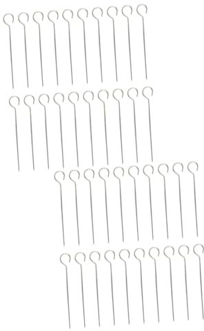 BESPORTBLE 40 Pz Ago di coda d'oca in acciaio inossidabile barbecue in acciaio inossidabile spiedini per barbecue in metallo spiedo kitchen gadgets spiedini di carne Cerchiato