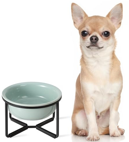 Gamelle Chien Surélevée en Céramique - Petit Bol pour Nourriture ou Eau avec Support en Métal Antidérapant - Idéale pour Petits Chiens et Chats - 400 ML - Vert