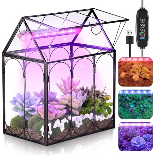 Meonum Tiny Glass Terrarium Kit with Grow Light, Venus Fly Trap Terrarium with Absorbent Mat, Timer&3 Light Modes for Succulent Live Air Plants Indoor Home Office Decor (7.1x 4.7x 8.7,USB Powered)
