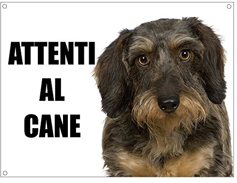 BASSOTTO attenti al cane mod 1 TARGA cartello IN METALLO (15X20)