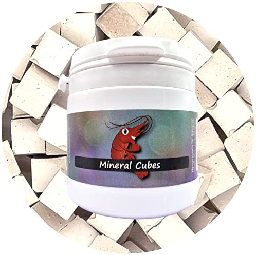 Mineral Cubes Mineral Boost / 120 Stück/Garnelen Aufbereiter Schnecken Züchterdose