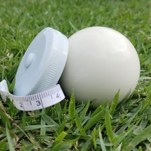 DONZWIYES Pallino Ball Replacement for Bocce Ball Game and Boule Game, Tournament Quality 2.24 In/57 mm White Bocce Pallino Ball Replacement - Including Blue Measuring Rope