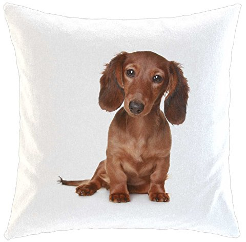 Merchandise for Fans Kissen/weiches Kuschelkissen mit Füllung 40x40cm - Motiv: Dackel/Teckel - Langhaardackel | 013