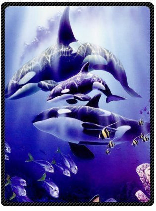 YISUMEI Decke 150x200 cm Kuscheldecken Sanft Flanell Weich Fleecedecke Bettüberwurf Queen Size Delphin
