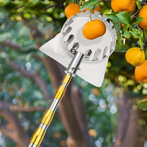 Fruktplockare fruktsamlare med teleskophandtag justerbara fruktplockningsverktyg praktiskt skördehjälp för persimmon, persika, päron, äpple, plommon, mango, bubär, A, 5 m/16 fot