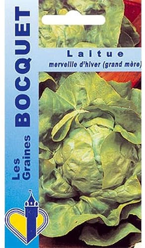 Sachet de graines de Laitue d'hiver Merveille d'hiver - 4 g - légume feuille - LES GRAINES BOCQUET