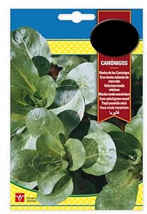 Semillas de Canónigos Naturales para Sembrar en Casa