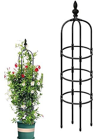 Rankhilfe Obelisk 90cm 120cm 150cm 180cm 210cm hoch, Ranksäule für Pflanzen Kletterpflanzen, Reben,Blume, Rosen, witterungsbeständig Metall Rankobelisk freistehend Rosenturm ( Size : 12.6/32cm Dia. x
