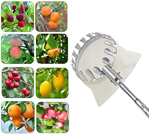 LekLai Obstpflücker, Obstpflücker Mit Teleskopstiel, Zum Pflücken Von Apfel, Birne, Zitrone, Limette, Kiwi, Grapefruit/Gold/10M(32.8Ft)